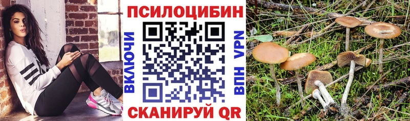 Галлюциногенные грибы прущие грибы  купить наркотики сайты  Челябинск 