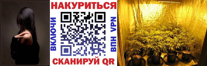 МАРИХУАНА OG Kush  сколько стоит  Челябинск 